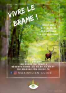 Vivre le brame !