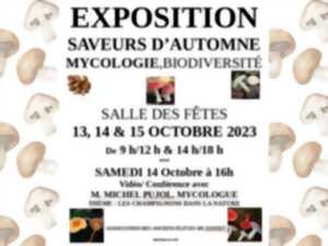 Exposition mycologie et biodiversité