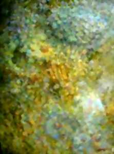 Saverio Armenia Peintures
