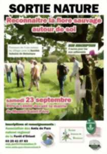 Sortie nature « Reconnaitre la flore sauvage autour de soi »