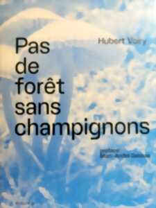 CONFÉRENCE : LA FORÊT DU DESSOUS