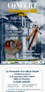 photo Concert du Quatuor Austrasia