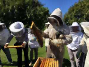 APICULTURE