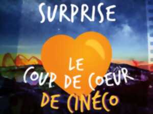 CINÉCO : COUP DE COEUR SURPRISE