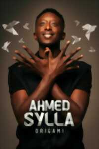 Spectacle - Ahmed Sylla, Origami