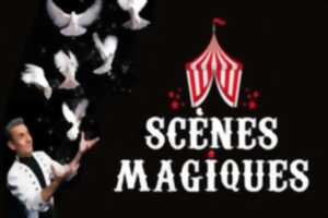 Spectacle Scènes Magiques