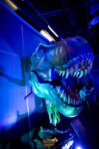 photo L’univers des dinosaures
