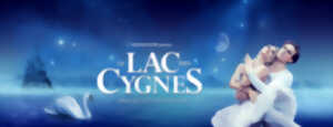 Spectacle - Le Lac des Cygnes