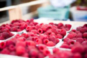 photo Marché à Châteauponsac