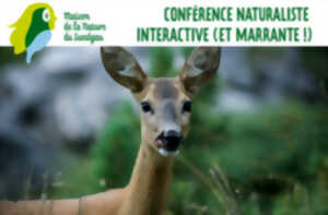 Conférence NATURALISTE INTERACTIVE ET MARRANTE