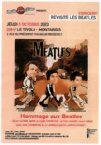 Les Meatles