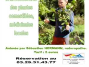 SORTIE NATURE