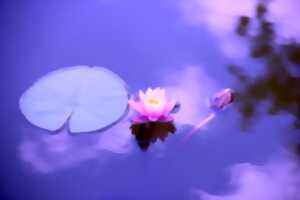 YOGA SUR CHAISE - CONDETTE