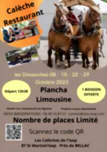 Calèche restaurant - Plancha Limousine