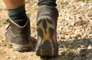 Marche Audax