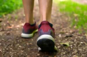 Marche sportive