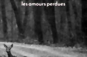 Festival TRAFIK* | Hanami, Les amours perdues