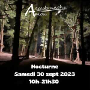 Nocturne à l'Accrobranche Amou