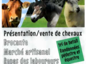 Foire aux chevaux