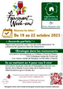 Vignobles en Scène ! - 1,2,3...vins