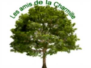 photo Repas avec animation