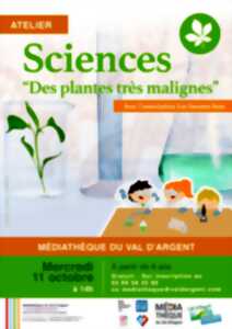 Atelier sciences 