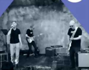 Concert de Wallpaper et Didier Vergnaud