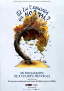 Festival Comett au Cinéma Lux