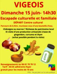 Escapade culturelle et familiale