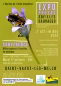 Conférence | Mille espèces d'abeilles ou presque