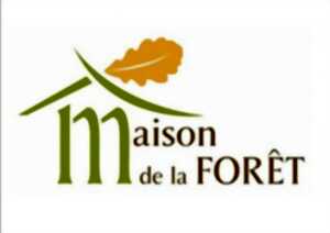 Animations à la Maison de la Forêt