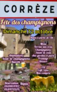 photo Fête des Champignons