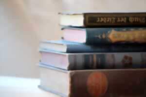 photo 8° Salon du livre de Cussac
