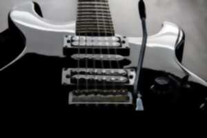 Concert Les Rockeurs ont du coeur