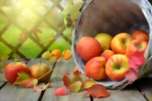 Fête de l'Automne à Wailly-Beaucamp