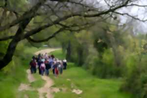 RANDONNÉE PÉDESTRE