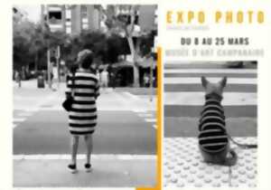 photo EXPOSITION 