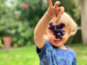 L'atelier des petits vendangeurs