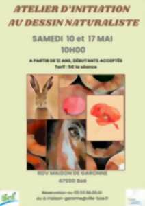photo Ateliers d’initiation au dessin naturaliste au pastel