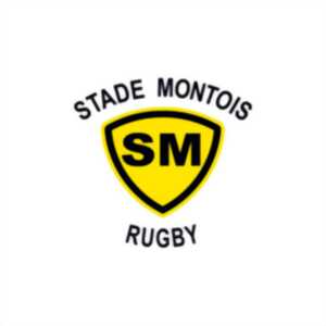 photo Stade Montois Rugby VS US Dax