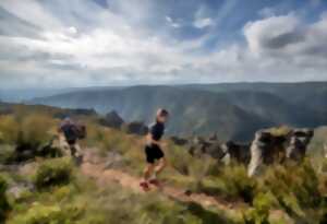 Marathon du Larzac 2025 (34,6 km - Festival HOKA les Templiers)
