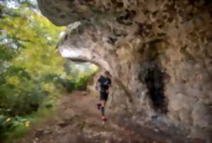 L'Intégrale des Causses 2025 (62.6 km - Festival HOKA les Templiers)
