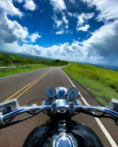 Rando moto