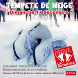 Tempête de neige (Patinoire)
