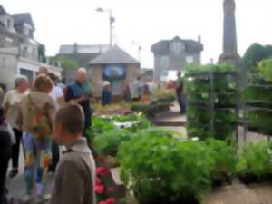 photo Foire aux Plants et aux Volailles