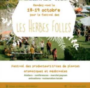 Festival : Les Herbes folles
