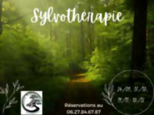 Bain de nature et sylvothérapie