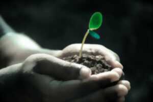 photo Troc de plantes