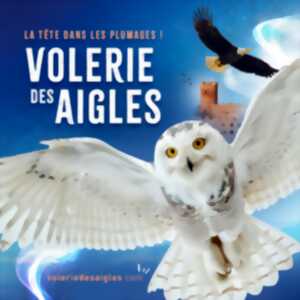 photo La reproduction à la Volerie des Aigles