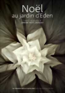 Noël au jardin d'Eden